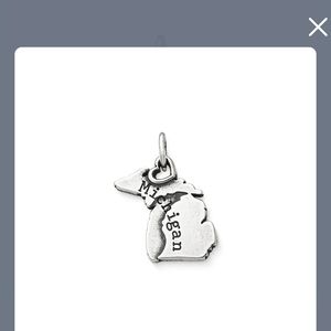 My Michigan James Avery charm